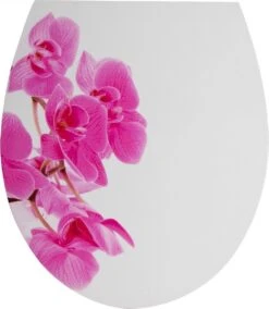 Sanitary WC-bril Met Print - Kunstof - Softcolse - RVS Schanieren - Afklikbaar