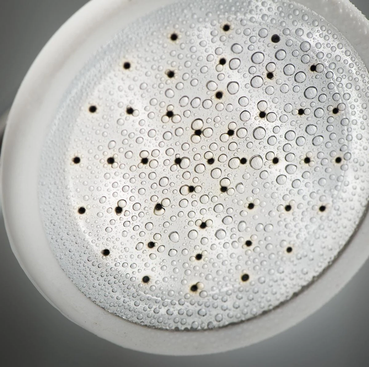 Tiger Monaco Handdouche - Douchekop Ø 6 Cm - Volle Straal - Chroom 3 Tiger Monaco Handdouche - Douchekop Ø 6 Cm - Volle Straal - Chroom - Afbeelding 3