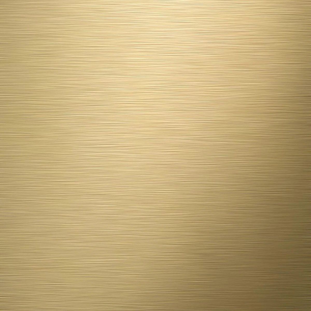 Tiger Tune - Toiletborstel Met Houder Vrijstaand - Messing Geborsteld / Zwart 6 Tiger Tune - Toiletborstel Met Houder Vrijstaand - Messing Geborsteld / Zwart - Afbeelding 6