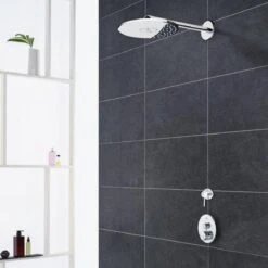 GROHE Euphoria 260 Hoofddouche - Regendouche ø 26 Cm - Eco - Met 3 Stralen - Chroom -Badkamer Kast Winkel 1200x1200 2636
