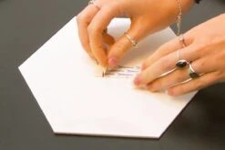 Tesa Powerstrips - Dubbelzijdig - 10 Stuks