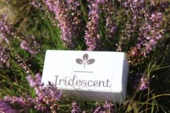 Iridescent Douchekop LED Verlichting – Waterbesparende Douchekop – Hoge Druk Transparant -Badkamer Kast Winkel 1200x800 74