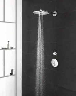 GROHE Euphoria 260 Hoofddouche - Regendouche ø 26 Cm - Eco - Met 3 Stralen - Chroom -Badkamer Kast Winkel 940x1200 2