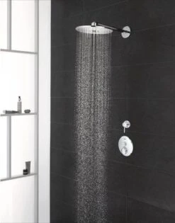 GROHE Euphoria 260 Hoofddouche - Regendouche ø 26 Cm - Eco - Met 3 Stralen - Chroom -Badkamer Kast Winkel 942x1200